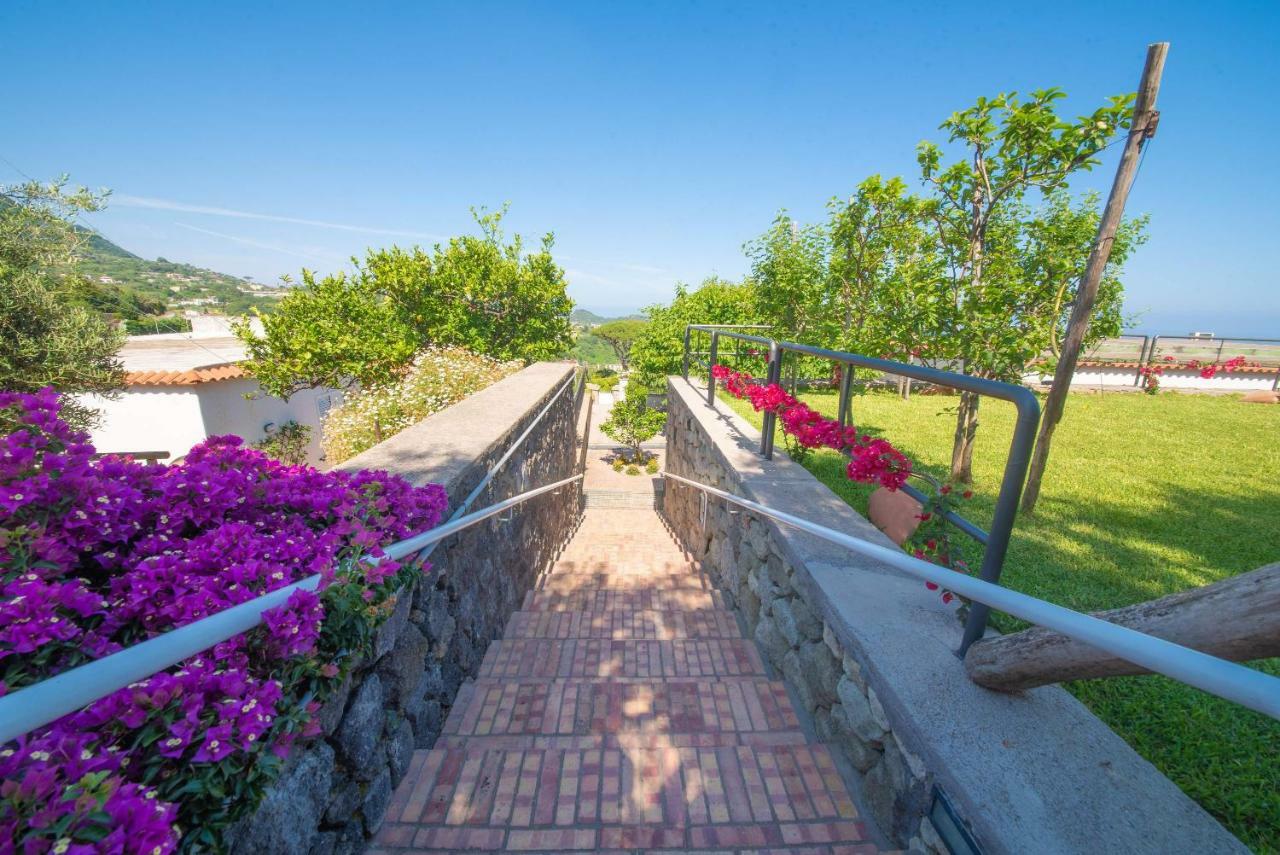 Ischia La Sentinella Aparthotel Casamicciola Terme