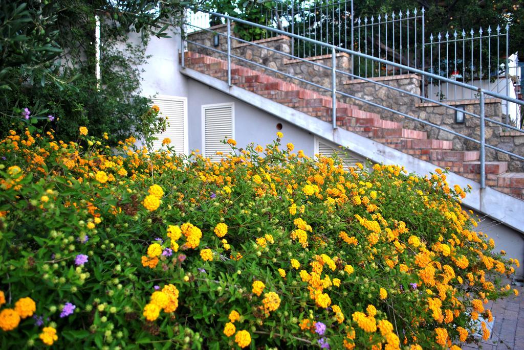 Ischia La Sentinella Casamicciola Terme