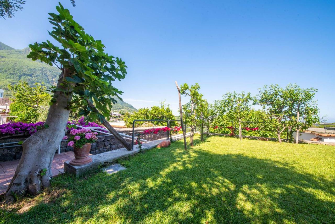 Aparthotel Ischia La Sentinella *